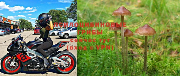 мяу мяу мука Шарыпово